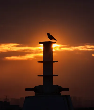 b57c644e-d06d-4a2c-b953-860a316019c0.png